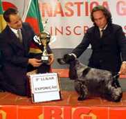 click aqu� para agrandar