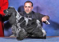 BIS.Venc Sicalam 2011 Gr.Ch.Zucco's Print Blue U Sexy Thing