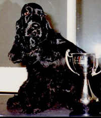 Ur.Br.J.Ch.Puck�s Black Special Frost (SOFIA)